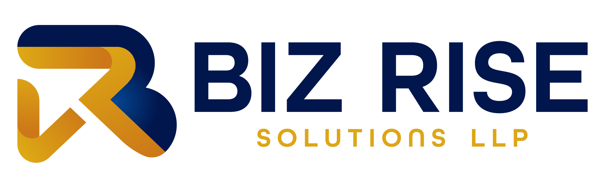 BIZ RISE SOLUTIONS LLP logo